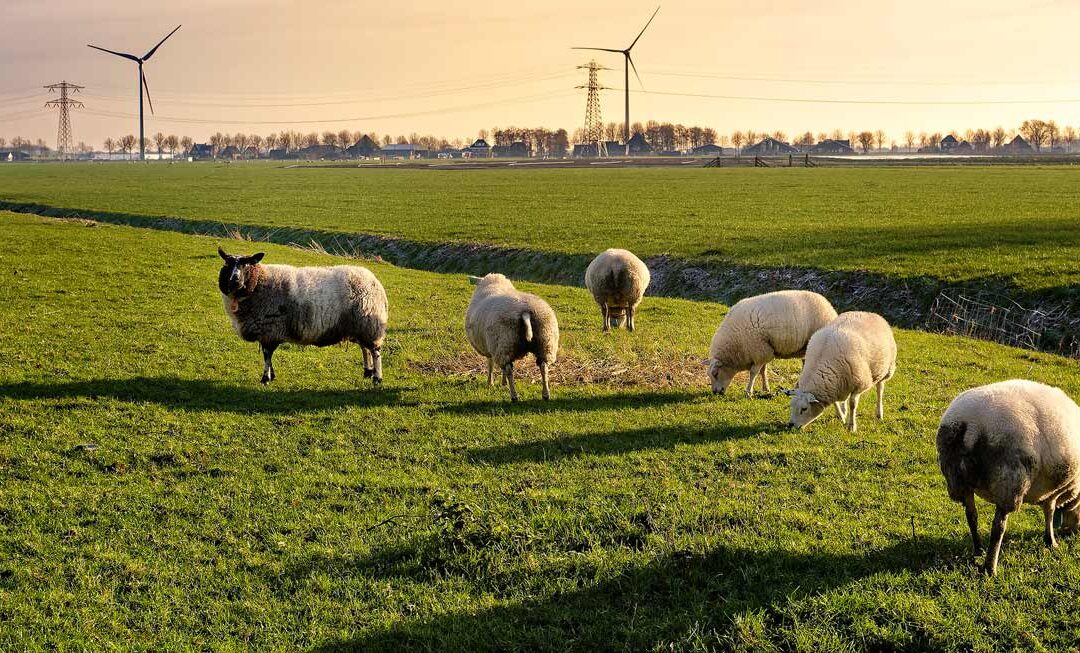 Energyhubs door de lens van commonstheorie