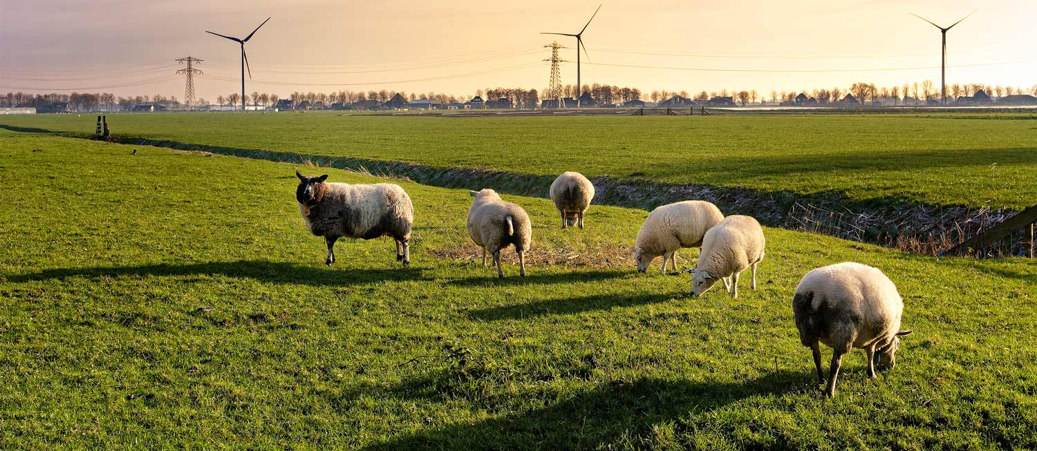 Energyhubs door de lens van commonstheorie