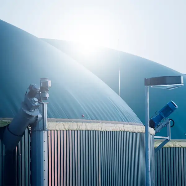 Van lokale mest naar lokaal groen gas: Echt-Susteren bouwt aan een energiegemeenschap